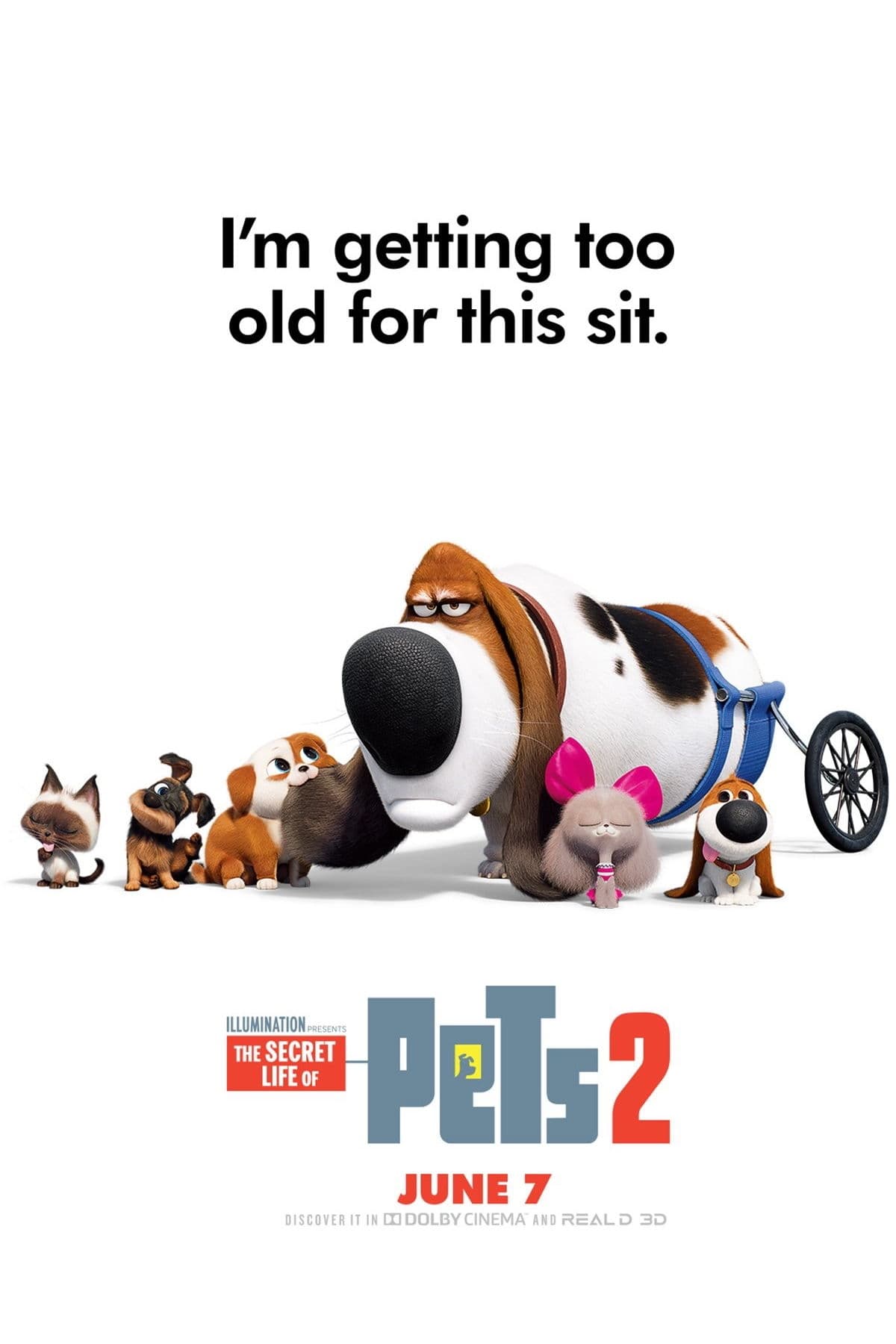 Poster for the movie "The Secret Life of Pets 2"